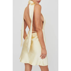 V Neck Open Back Mini Dress