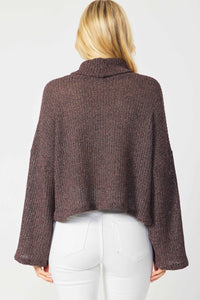 Two Tone Turtleneck Sweater | Wine