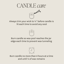Load image into Gallery viewer, Island Air Soy Candle