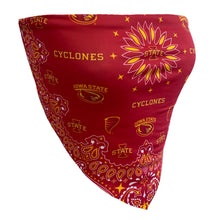 Load image into Gallery viewer, Iowa State Bandana Top