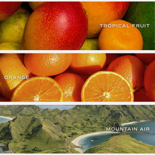 Load image into Gallery viewer, Island Air Soy Candle
