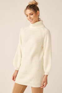 Turtleneck Knit Dress