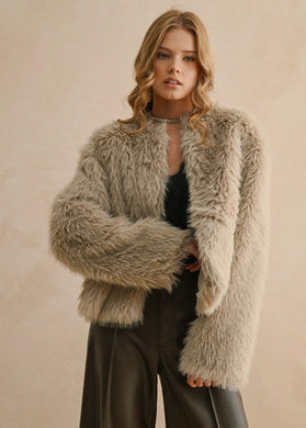 Faux Fur Cropped Jacket