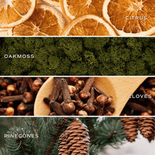 Load image into Gallery viewer, Holiday Soy Candle
