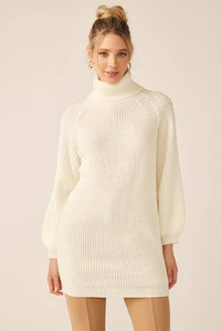 Turtleneck Knit Dress