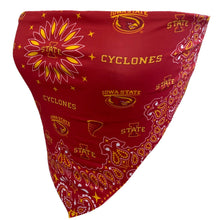 Load image into Gallery viewer, Iowa State Bandana Top