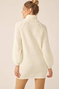 Turtleneck Knit Dress